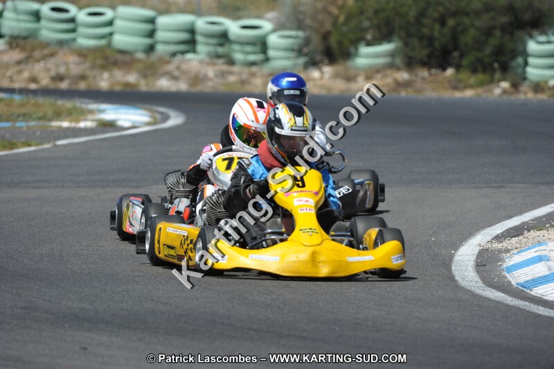 DSC (2932).JPG